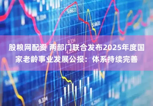 股粮网配资 两部门联合发布2025年度国家老龄事业发展公报：体系持续完善